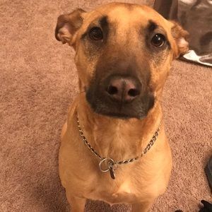 Meet your Posher, Cassandra